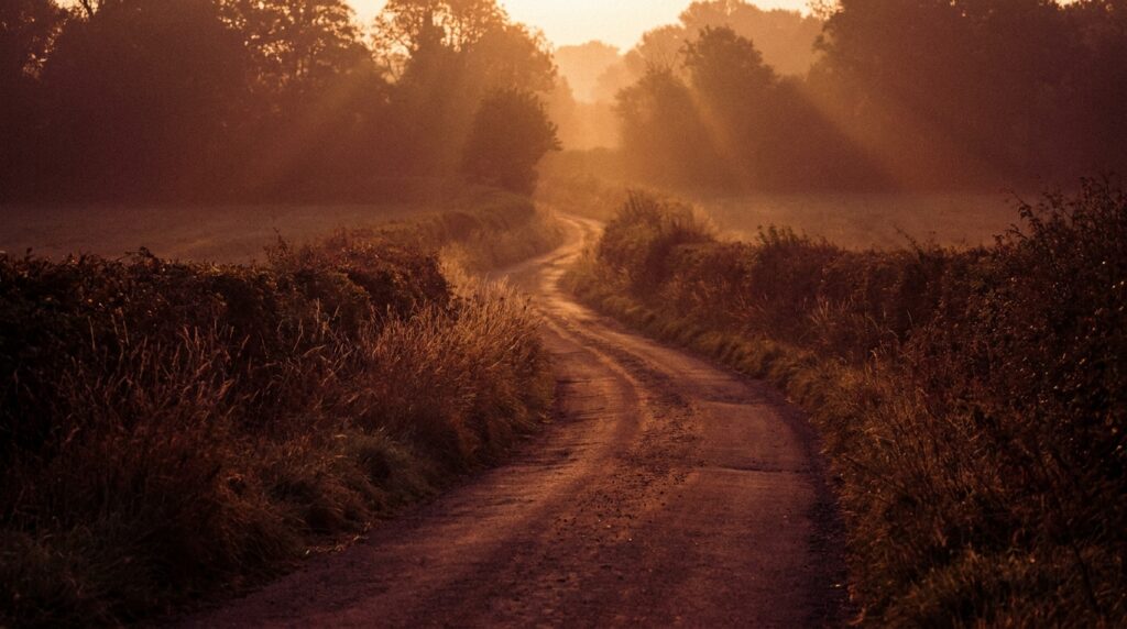 A quiet country path curving toward a glowing golden horizon at first light, warm amber and burgundy tones through the trees