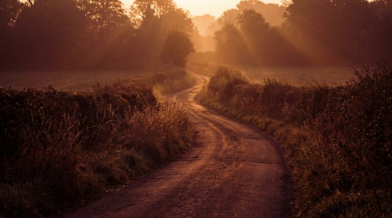 A quiet country path curving toward a glowing golden horizon at first light, warm amber and burgundy tones through the trees