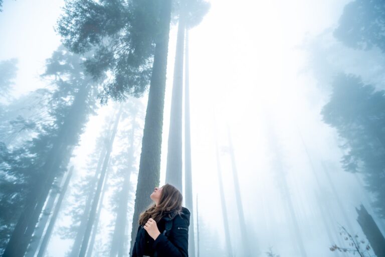 A woman pausing in a quiet forest, reflecting — the neuroscience of clear judgment under pressure, with Dr. Sydney Ceruto.
